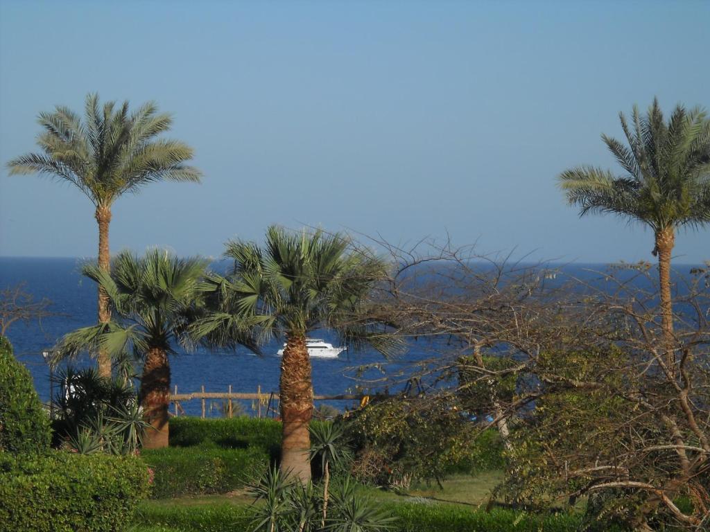 Royal Paradise Resort 沙姆沙伊赫 外观 照片